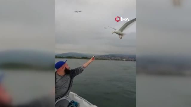 denizin ortasinda martiyi elleri ile besledi 2 14148338 o