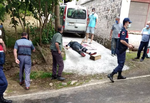 İki otomobil kafa kafaya çarpıştı: 5 yaralı İki otomobil kafa kafaya çarpıştı: 5 yaralı