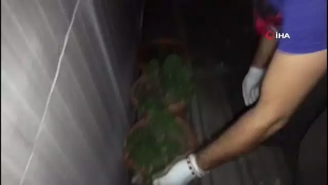 Son Dakika | İş yerine silah ticareti baskını kamerada Son Dakika | İş yerine silah ticareti baskını kamerada