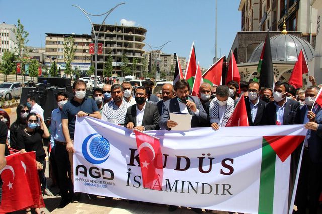 israil in saldirilari sirnak ta protesto edil 4 14147438 o