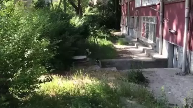 Kargayla köpeğin yaşam kavgası
