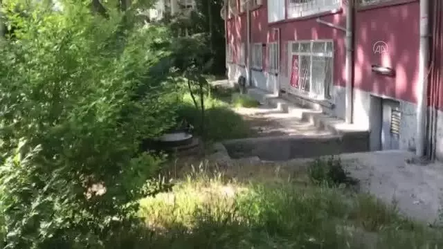 Kargayla köpeğin yaşam kavgası