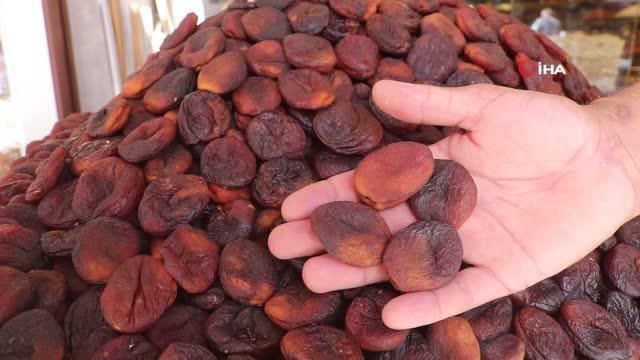Malatya'da kuru kayısı ihracatı yüz güldürüyor Malatya'da kuru kayısı ihracatı yüz güldürüyor