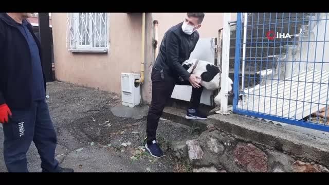 simsek korkusuyla kacarken demir parmakliklar 14148360 o