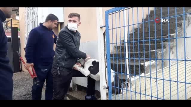 simsek korkusuyla kacarken demir parmakliklar 4 14148360 o