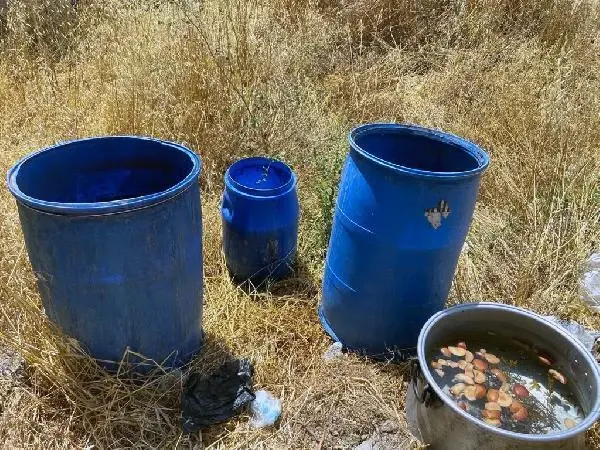 Son dakika haberleri: Adana'da kaçakçılık operasyonu: 5 gözaltı Son dakika haberleri: Adana'da kaçakçılık operasyonu: 5 gözaltı