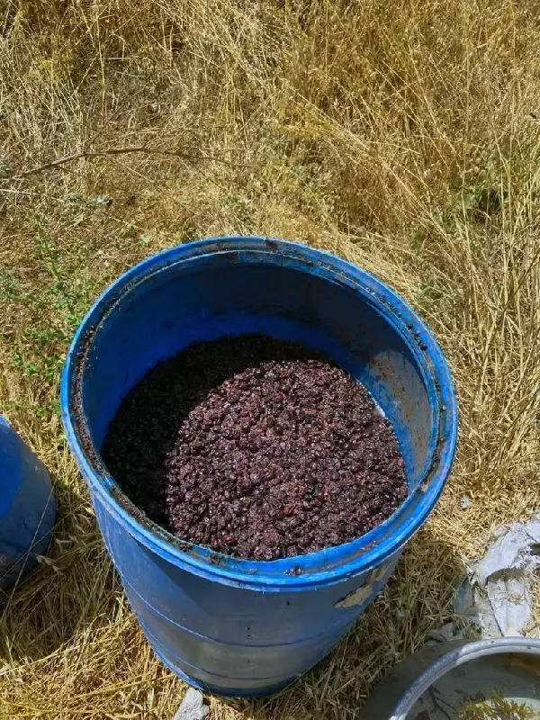 Son dakika haberleri: Adana'da kaçakçılık operasyonu: 5 gözaltı Son dakika haberleri: Adana'da kaçakçılık operasyonu: 5 gözaltı