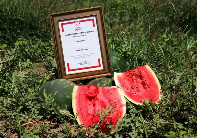 Adana'da kelek karpuz denetimi Adana'da kelek karpuz denetimi