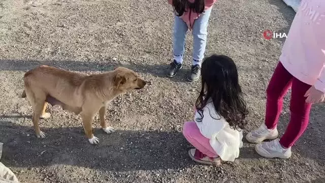 Son dakika haberleri: Ağrı'da gülümseten görüntüler...Çocuklar köpeğe cips yedirdi Son dakika haberleri: Ağrı'da gülümseten görüntüler...Çocuklar köpeğe cips yedirdi