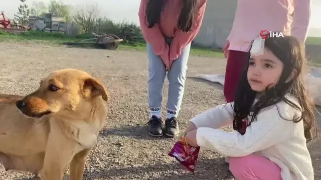 Son dakika haberleri: Ağrı'da gülümseten görüntüler...Çocuklar köpeğe cips yedirdi Son dakika haberleri: Ağrı'da gülümseten görüntüler...Çocuklar köpeğe cips yedirdi