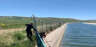 Akkise: Son dakika gündem: Ahırlı ilçesinde sulama kanalına düşen köpeği itfaiye kurtardı Akkise: Son dakika gündem: Ahırlı ilçesinde sulama kanalına düşen köpeği itfaiye kurtardı
