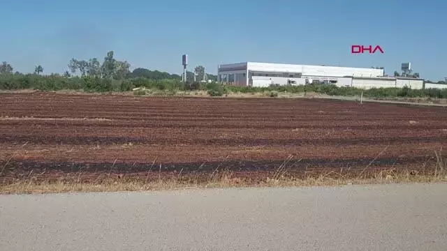 ANTALYA YANGIN ALANINDAN KAÇMAYA ÇALIŞAN YILAN ARACIN ALTINDA KALARAK TELEF OLDU ANTALYA YANGIN ALANINDAN KAÇMAYA ÇALIŞAN YILAN ARACIN ALTINDA KALARAK TELEF OLDU