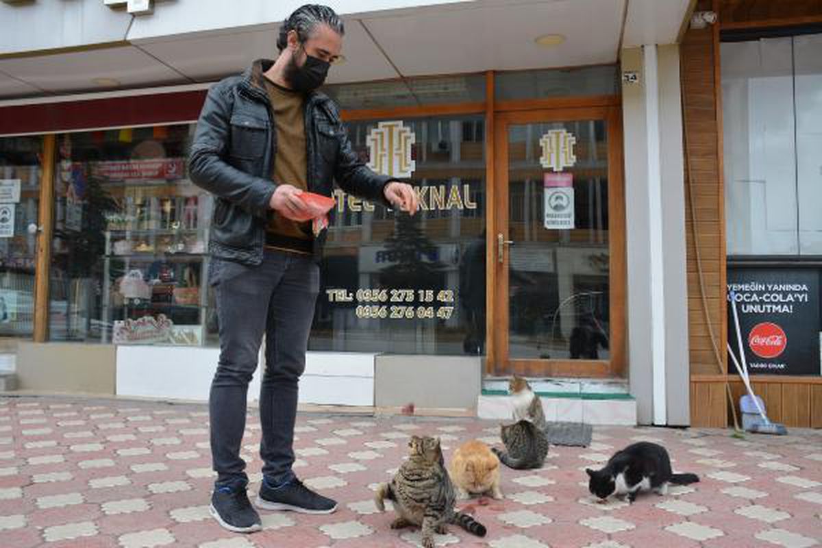 Bu otelin müşterilerini kediler karşılıyor