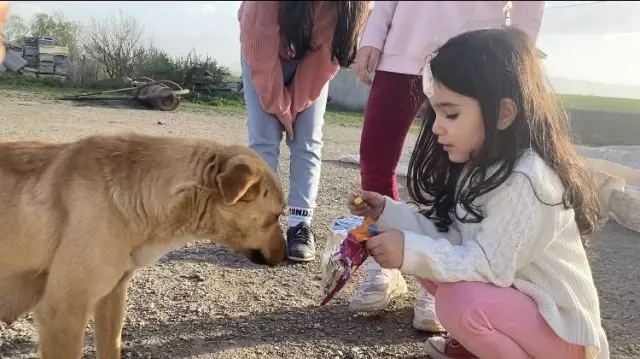 Son dakika haberleri: Ağrı'da gülümseten görüntüler...Çocuklar köpeğe cips yedirdi Son dakika haberleri: Ağrı'da gülümseten görüntüler...Çocuklar köpeğe cips yedirdi
