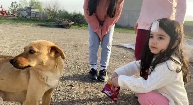 Son dakika haberleri: Ağrı'da gülümseten görüntüler...Çocuklar köpeğe cips yedirdi Son dakika haberleri: Ağrı'da gülümseten görüntüler...Çocuklar köpeğe cips yedirdi