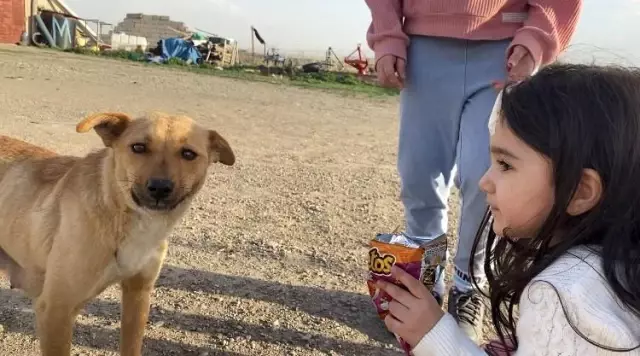 Son dakika haberleri: Ağrı'da gülümseten görüntüler...Çocuklar köpeğe cips yedirdi Son dakika haberleri: Ağrı'da gülümseten görüntüler...Çocuklar köpeğe cips yedirdi