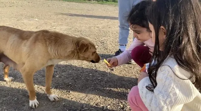 Son dakika haberleri: Ağrı'da gülümseten görüntüler...Çocuklar köpeğe cips yedirdi Son dakika haberleri: Ağrı'da gülümseten görüntüler...Çocuklar köpeğe cips yedirdi