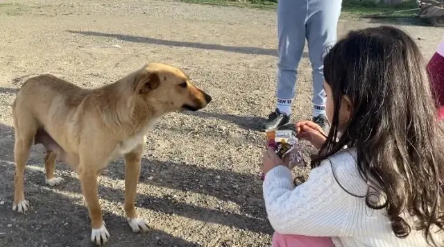 Son dakika haberleri: Ağrı'da gülümseten görüntüler...Çocuklar köpeğe cips yedirdi Son dakika haberleri: Ağrı'da gülümseten görüntüler...Çocuklar köpeğe cips yedirdi