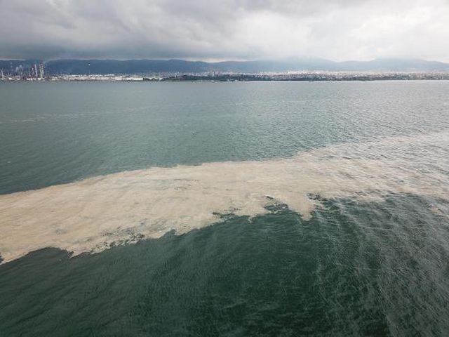 deniz salyasi izmit korfezi ne geri dondu 10 14149256 o