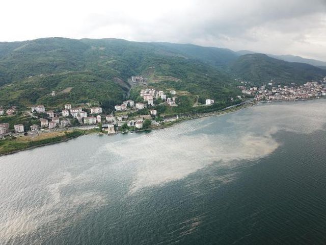 deniz salyasi izmit korfezi ne geri dondu 12 14149256 o