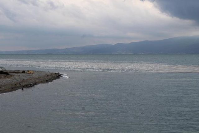 deniz salyasi izmit korfezi ne geri dondu 13 14149256 o