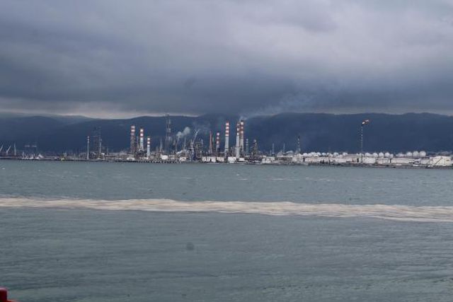 deniz salyasi izmit korfezi ne geri dondu 14 14149256 o