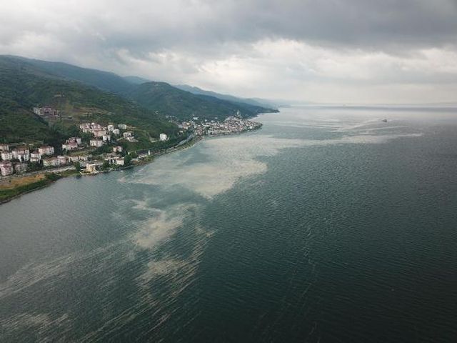 deniz salyasi izmit korfezi ne geri dondu 2 14149256 o