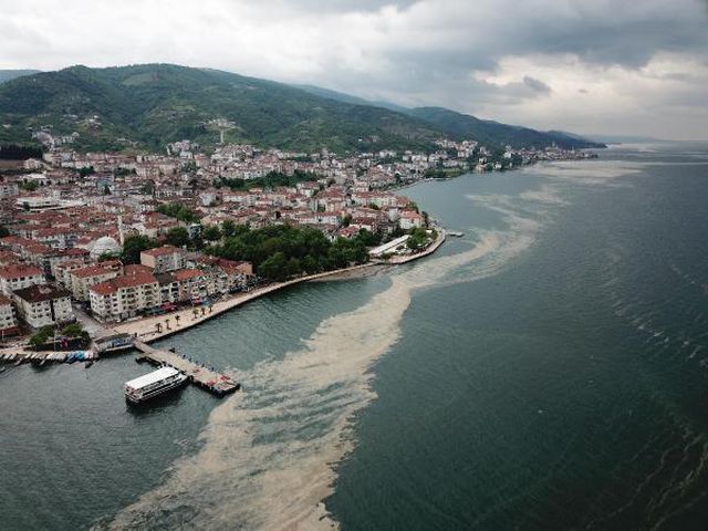 deniz salyasi izmit korfezi ne geri dondu 5 14149256 o
