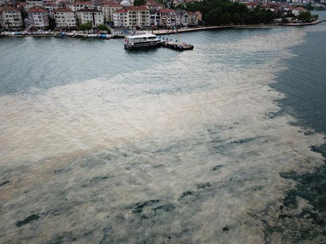 deniz salyasi izmit korfezi ne geri dondu 6 14149256 o