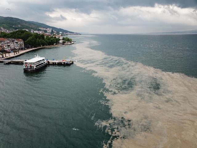 deniz salyasi izmit korfezi ne geri dondu 7 14149256 o