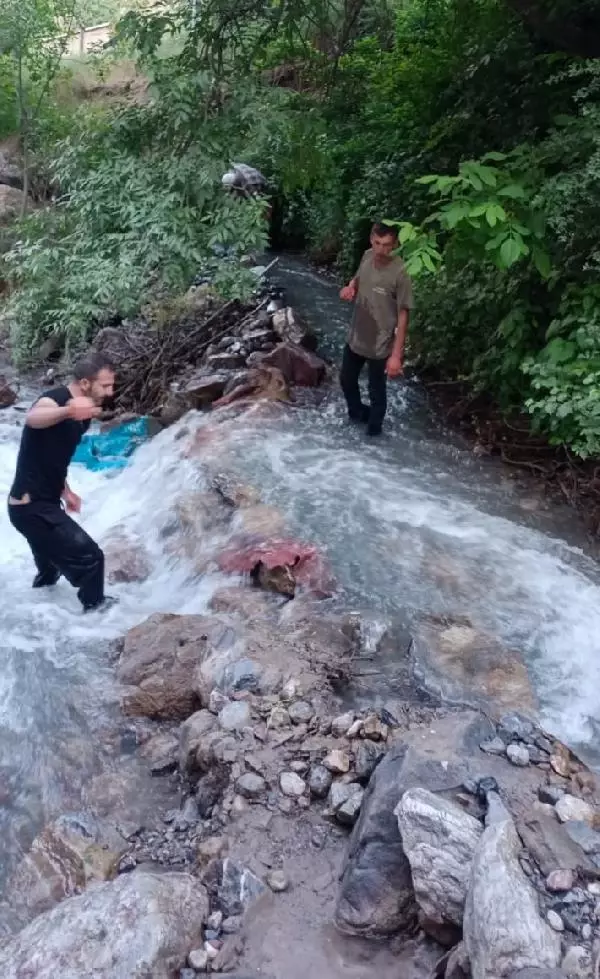 Dere taşınca tesisteki yavru alabalıklar telef oldu