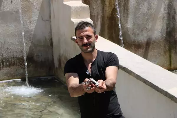 Dere taşınca tesisteki yavru alabalıklar telef oldu