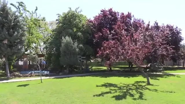 Göç sırasında yaralanan 'Yadigar' kanadını kaybedince kurumun maskotu oldu