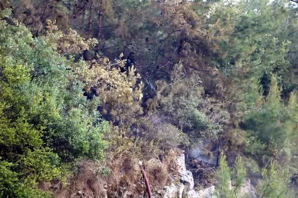 Son dakika haber... Huzurevi yakınında bulunan ormanlık alanda çıkan yangın söndürüldü Son dakika haber... Huzurevi yakınında bulunan ormanlık alanda çıkan yangın söndürüldü
