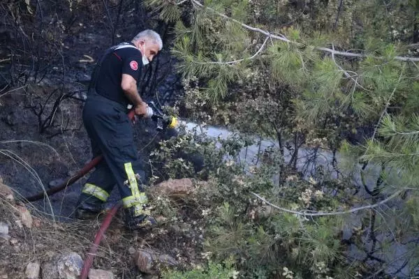 Son dakika haber... Huzurevi yakınında bulunan ormanlık alanda çıkan yangın söndürüldü Son dakika haber... Huzurevi yakınında bulunan ormanlık alanda çıkan yangın söndürüldü