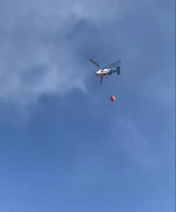 Son dakika haber... Huzurevi yakınında bulunan ormanlık alanda çıkan yangın söndürüldü Son dakika haber... Huzurevi yakınında bulunan ormanlık alanda çıkan yangın söndürüldü