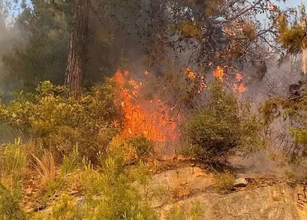 Son dakika haber... Huzurevi yakınında bulunan ormanlık alanda çıkan yangın söndürüldü Son dakika haber... Huzurevi yakınında bulunan ormanlık alanda çıkan yangın söndürüldü