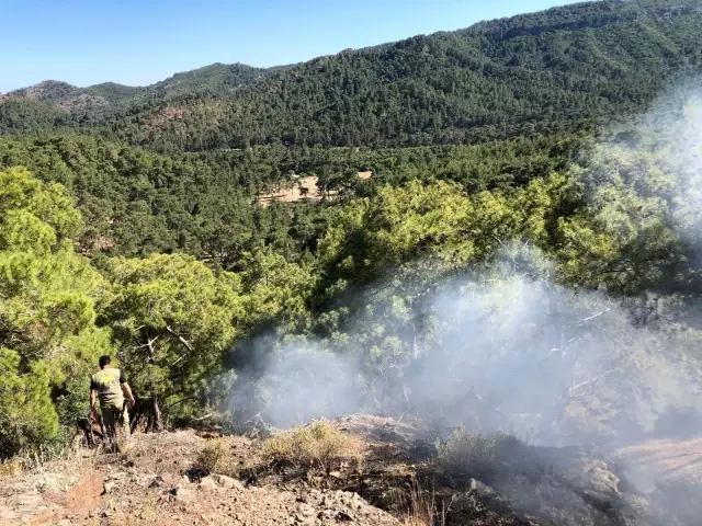 Son dakika haber... Kemer'deki orman yangını büyümeden söndürüldü Son dakika haber... Kemer'deki orman yangını büyümeden söndürüldü