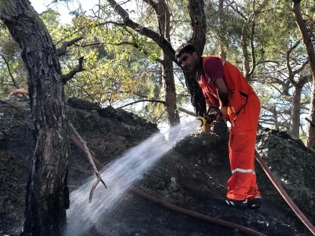 Son dakika haber... Kemer'deki orman yangını büyümeden söndürüldü Son dakika haber... Kemer'deki orman yangını büyümeden söndürüldü