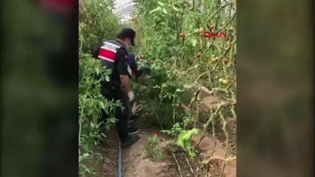 KUMLUCA'DA SERAYA UYUŞTURUCU BASKINI KUMLUCA'DA SERAYA UYUŞTURUCU BASKINI