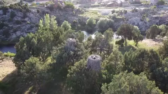 Leylekler Vadisi'nde yavrulama döneminde kısıtlama nedeniyle sessizlik hakim