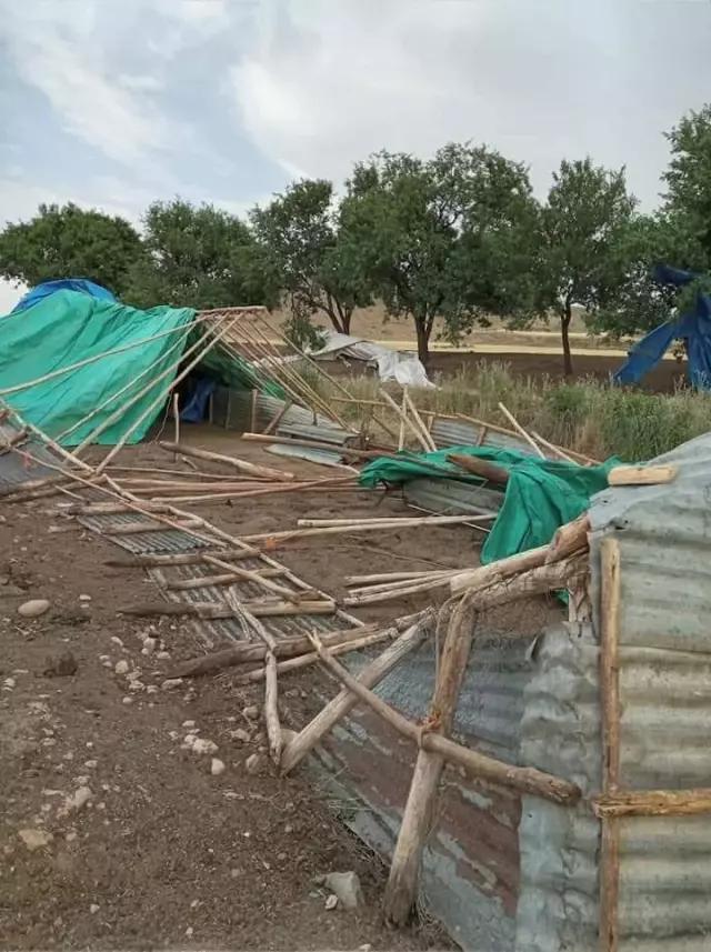 Tunceli�de şiddetli fırtına ev ve ahırların çatısını uçurdu Haberler