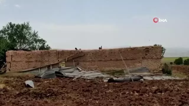 Tunceli'de şiddetli fırtınanın bilançosu ağır oldu...Çatılar uçtu, ağaçlar devrildi, hayvanlar telef oldu Tunceli'de şiddetli fırtınanın bilançosu ağır oldu...Çatılar uçtu, ağaçlar devrildi, hayvanlar telef oldu