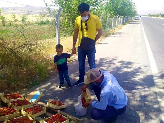 48 yıldır meşhur 'Kuyulu' çileğini yol kenarında satıyor
