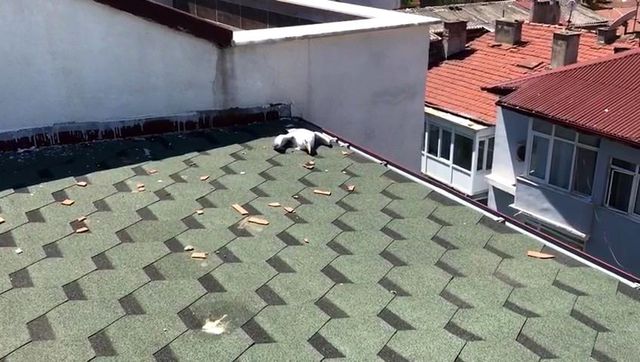 5 katli binanin catisindaki yarali martiyi ol 5 14150552 o
