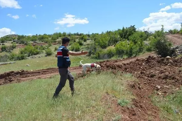 ADIYAMAN'DA KAYIP GENÇ, 2 GÜNDÜR ARANIYOR