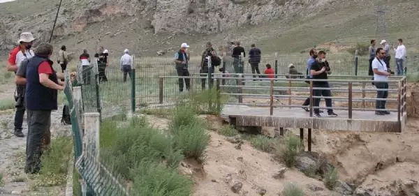 AĞRI 2'NCİ ULUSAL FOTO SAFARİ TAMAMLANDI AĞRI 2'NCİ ULUSAL FOTO SAFARİ TAMAMLANDI