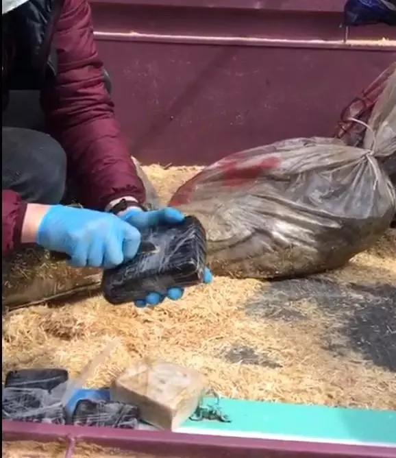 Ağrı'da bir buçuk yılda 1 ton 260 kilo 707 gram uyuşturucu madde ele geçirildi Ağrı'da bir buçuk yılda 1 ton 260 kilo 707 gram uyuşturucu madde ele geçirildi
