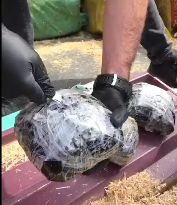 Ağrı'da bir buçuk yılda 1 ton 260 kilo 707 gram uyuşturucu madde ele geçirildi Ağrı'da bir buçuk yılda 1 ton 260 kilo 707 gram uyuşturucu madde ele geçirildi