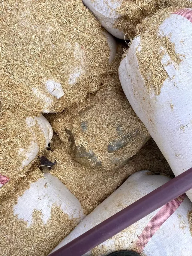 Ağrı'da bir buçuk yılda 1 ton 260 kilo 707 gram uyuşturucu madde ele geçirildi Ağrı'da bir buçuk yılda 1 ton 260 kilo 707 gram uyuşturucu madde ele geçirildi